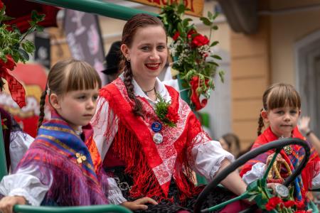 Povorka ob dnevih narodnih noš in oblačilne dedščine (52)